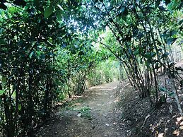 Good Vibes Villas Retreat And Restaurant