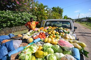 Sol Mar, Silver Sands 3BR