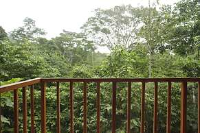 La Musa Verde