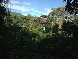 La Musa Verde