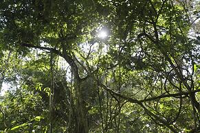 La Musa Verde