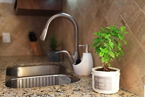 ROMANTIC ZONE V177 STUDIO