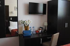 Hotel Elokhovsky City
