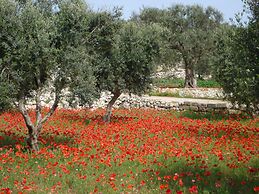 BioMasseria Santa Lucia