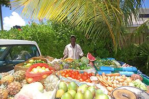 Windjammer, 4BR by Jamaican Treasures