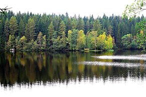 Baza Otdikha Ilichevo