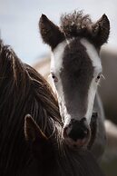 Lindartún Guesthouse