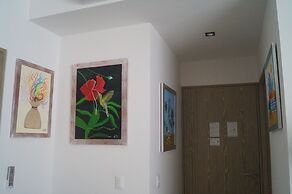 ROMANTIC ZONE ZENITH STUDIO