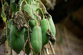 Battambang Dream Bungalows