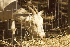 Casale Torre San Magno