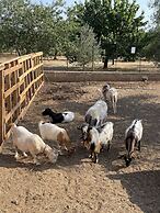 Casale Torre San Magno