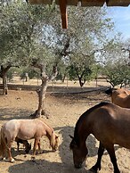 Casale Torre San Magno