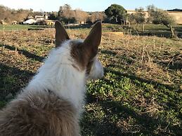 Finca La vega