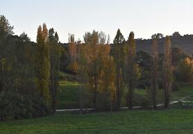 Finca La vega