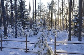 Shishki na Lampushke - Russkaya Derevnya