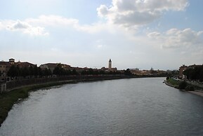 Dreaming Arena Rooms