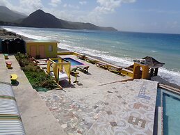 BLS Wellness Guest House