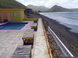 BLS Wellness Guest House