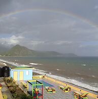 BLS Wellness Guest House