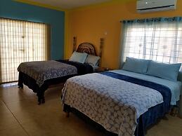 BLS Wellness Guest House