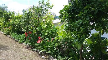 Liberato Puglia Vacanze