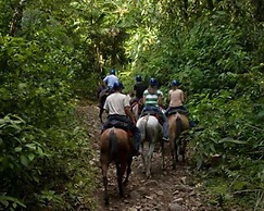Encantada Guest House: Spectacular View & Excellent Reviews