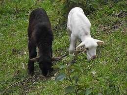 Hotel y Termas Jilamito