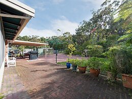 Wildflowers at Fingal Bay