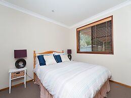 Wildflowers at Fingal Bay