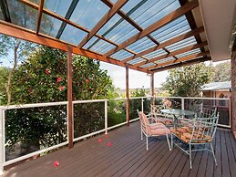 Wildflowers at Fingal Bay
