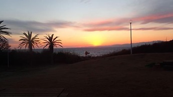 Marine Plaza Y's Dream