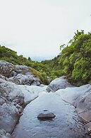 Dawson Falls Mountain Lodge