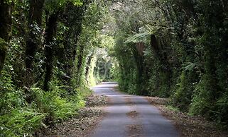 Dawson Falls Mountain Lodge