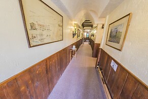 Dawson Falls Mountain Lodge