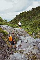 Dawson Falls Mountain Lodge