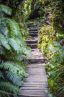 Dawson Falls Mountain Lodge