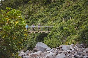 Dawson Falls Mountain Lodge