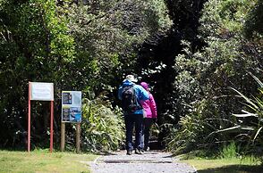 Dawson Falls Mountain Lodge