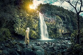 Dawson Falls Mountain Lodge