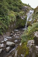 Dawson Falls Mountain Lodge