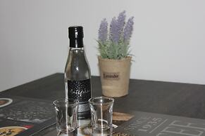 Aaron Studios Apartments