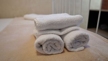 Bucharest Center Villa