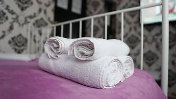 Bucharest Center Villa