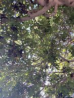 Agriturismo Il Melograno