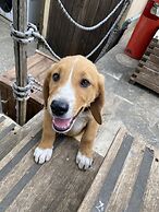 Agriturismo Il Melograno