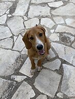 Agriturismo Il Melograno