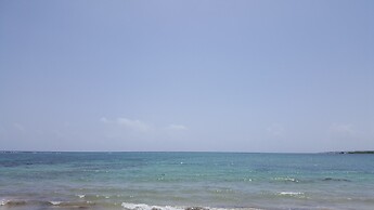 Ocho Rios Villa at Coolshade X