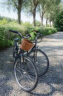 B&B Scheldekant