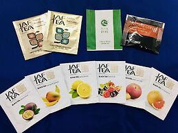 Ariston Hotel Kyoto Jujo