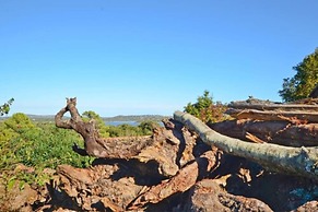 Les Pavillons du Belvédère